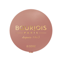 fard-de-obraz-little-round-pot-15-rose-eclait-2-5-g-bourjois-9765.png