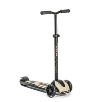 scoot-and-ride-trotineta-copii-pliabila-reglabila-roti-luminoase-highwaykick-5-led-ash-5-ani-pana-la-80-kg-96440-4669.png