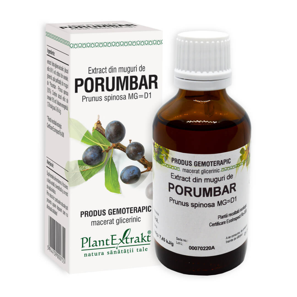 Extract din muguri de Porumbar, 50 ml, Plant Extrakt