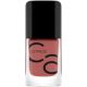 Lac pentru unghii Iconails Gel Lacquer, 10 - Rosywood Hills, 10.5 ml, Catrice 619628