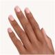 Unghii false French Manicure Click On Nails, 01 - Classic French, 12 bucati, Essence 625047