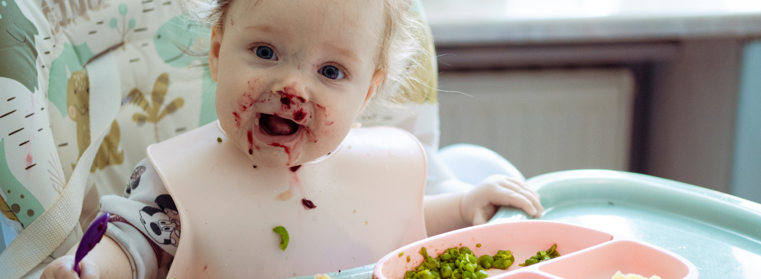 Banner scaun de masa bebe