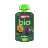 piure-bio-din-prune-6-luni-100-g-plasmon-2635.png
