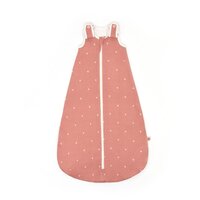 sac-de-dormit-din-bumbac-on-the-move-0-5-tog-rose-hearts-18-36-luni-ergobaby-2935.jpg