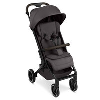 carucior-sport-ping-3-trekking-pana-la-22-kg-falcon-abc-design-7449.jpg