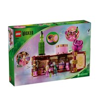 camera-de-camin-a-glindei-si-a-elphabei-wicked-8-ani-75683-lego-6333.jpg