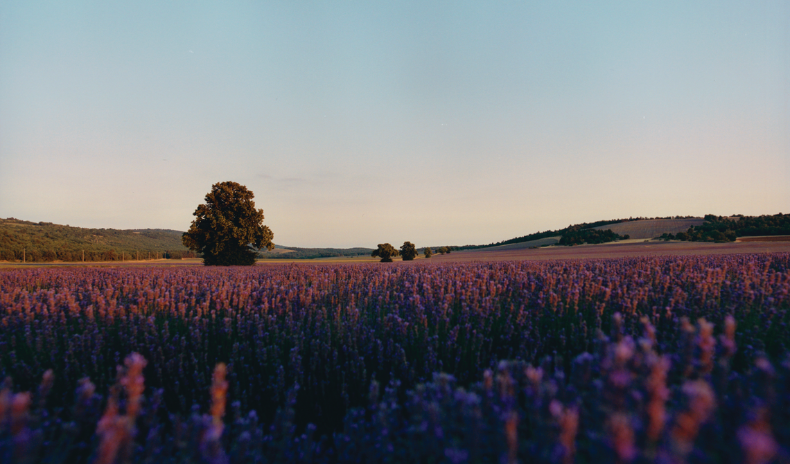 Produse Inspirate de Provence