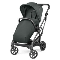 caruciorul-vivace-0-22-kg-metal-peg-perego-7279.jpg
