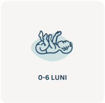 Lapte praf 0-6 luni Nan