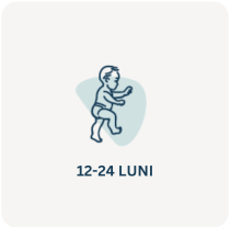 Lapte praf 12-24 luni