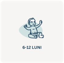 Lapte praf 6-12 luni Nan