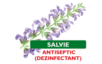 Salvie ingredient imagine Biomicin Urinar
