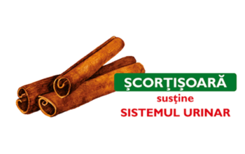 Scorțișoară ingredient imagine Biomicin Urinar