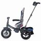 Tricicleta multifunctionala pentru copii Corso, +9 luni, Violet, Coccolle 494156