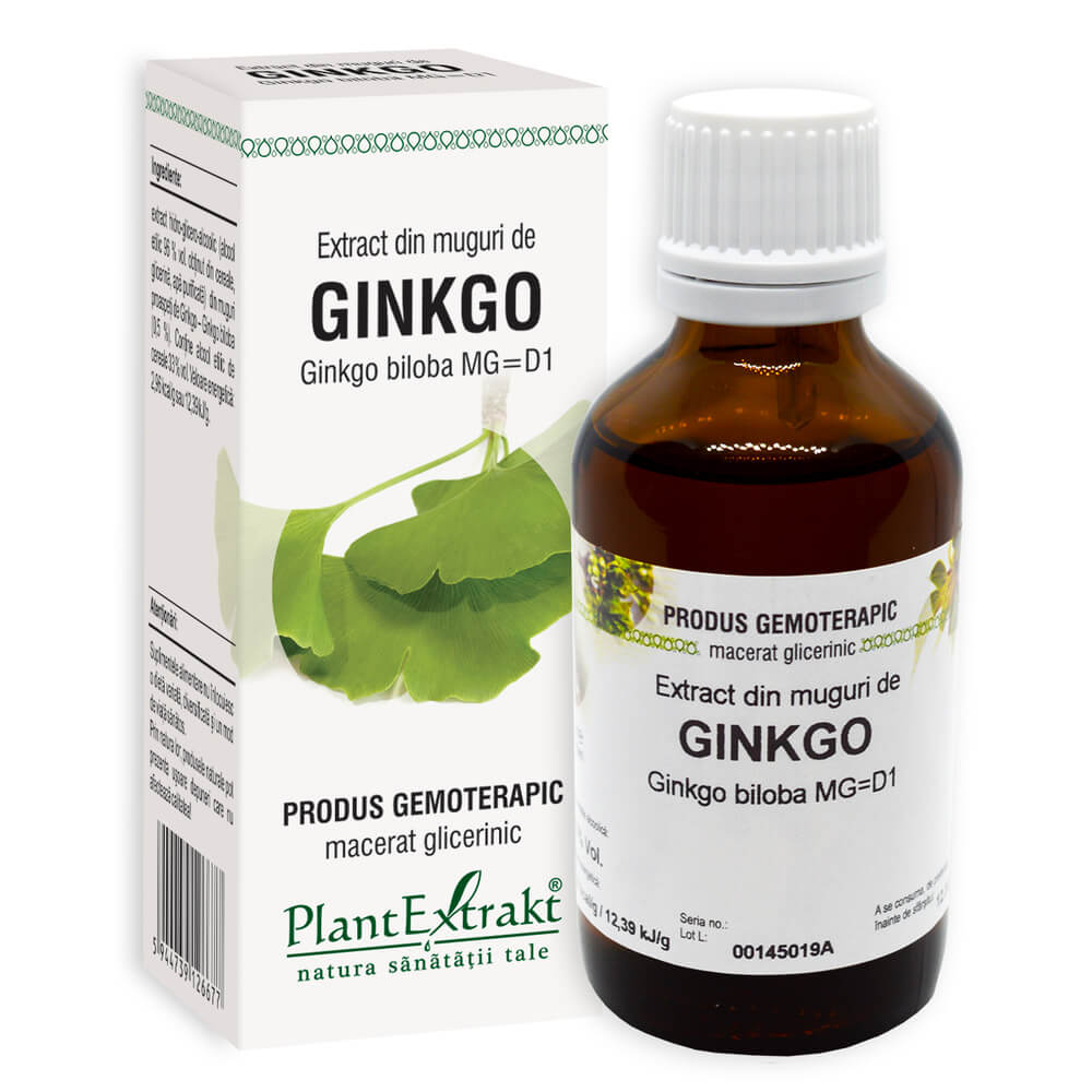 Extract din muguri de Ginkgo, PlantExtrakt