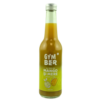 suc-de-mango-si-mere-100-natural-si-presat-la-rece-330-ml-rayam-5310.png