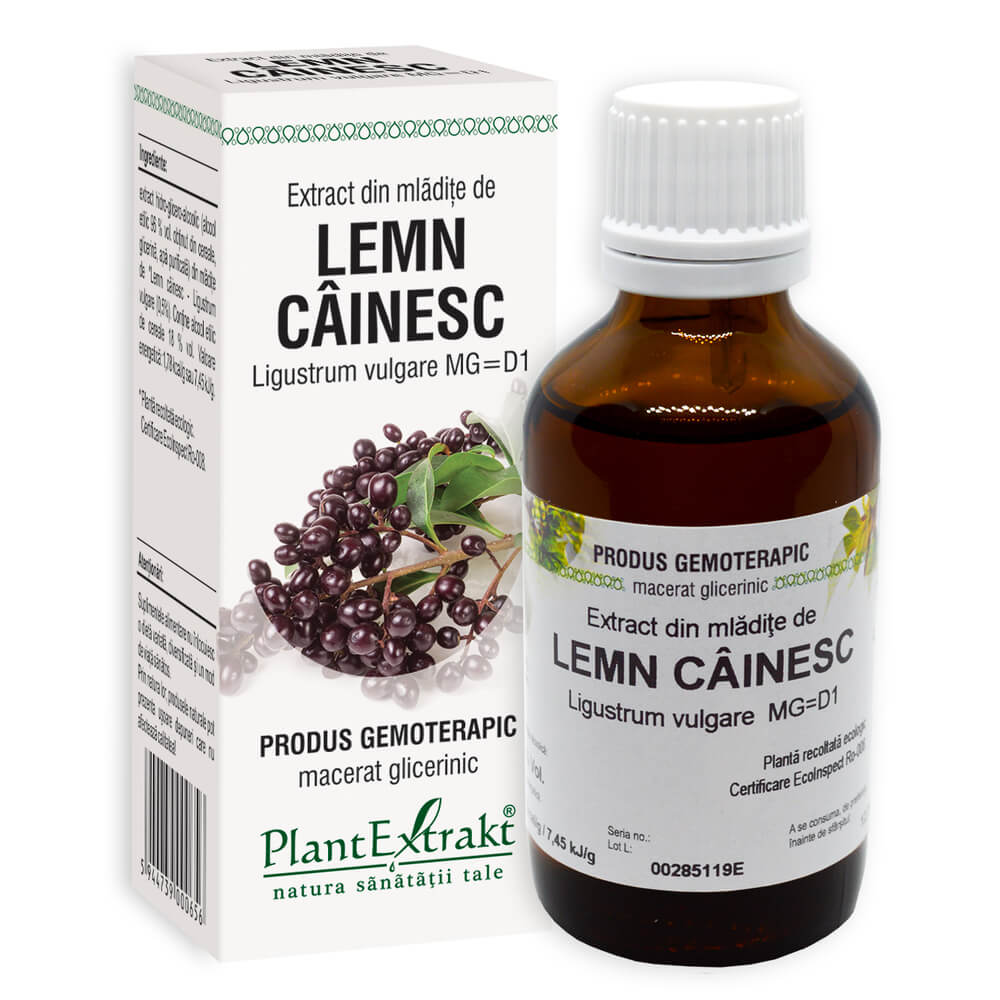 Extract din mladite de Lemn Cainesc, 50 ml, PlantExtrakt