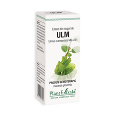 Extract de muguri de Ulm, 50 ml, Plant Extrakt