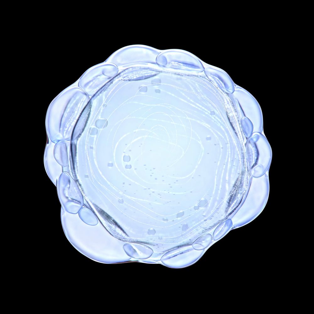 Niacinamidă - ingredient activ