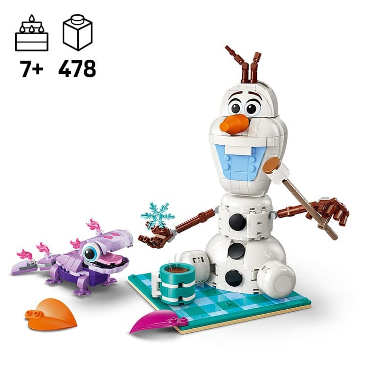 	PICNIC CU OLAF SI BRUNI