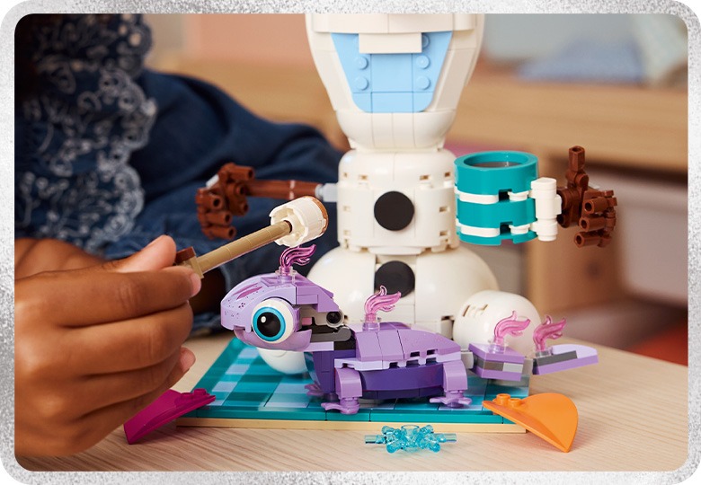 	PICNIC CU OLAF SI BRUNI