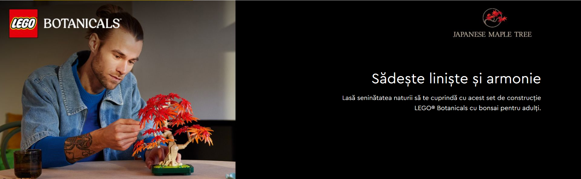 LEGO Botanicals Bonsai artar japonez rosu