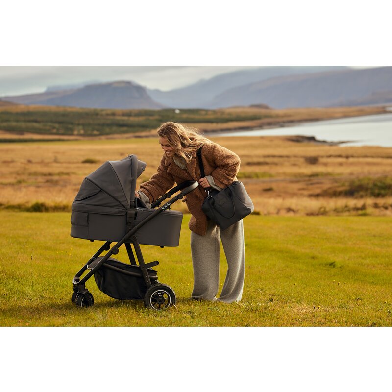 Carucior reversibil 2 in 1 cu multiple accesorii Amber Plus