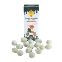 dropsuri-cu-propolis-miere-si-pin-44-g-apidava-405.png