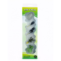 set-educativ-ciclul-de-viata-al-broastei-oem-6541.png