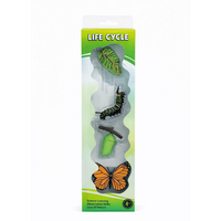 set-educativ-ciclul-de-viata-al-fluturelui-oem-3775.png