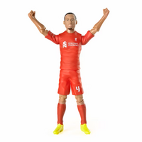 figurina-fotbalist-20-cm-van-dijk-3-ani-banboo-toys-5103.png