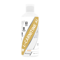 l-carnitina-xl-1000-ml-dy-nutrition-9364.png