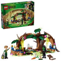 lego-wicked-refugiul-elphabei-75687-8898.png