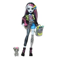 papusa-cu-accesorii-frankie-stein-si-watzie-4-ani-monster-high-8437.jpg