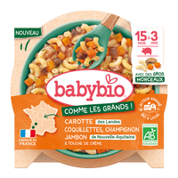 meniu-bio-morcovi-ciuperci-jambon-si-paste-200-g-babybio-94.png