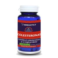 Colesteronat, 120 capusle, Herbagetica