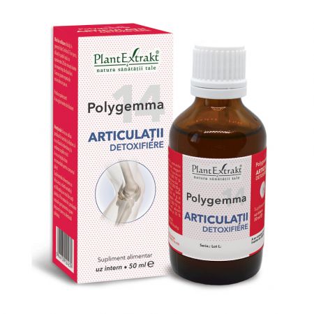 Polygemma 14, Articulatii detoxifiere