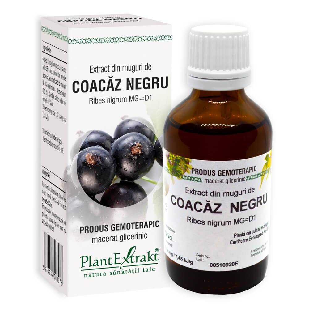 Extract de muguri de Coacaz Negru, 50 ml, PlantExtrakt