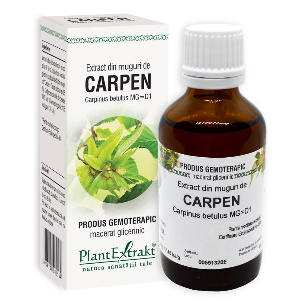 Extract din muguri de Carpen, 50 ml, PlantExtrakt