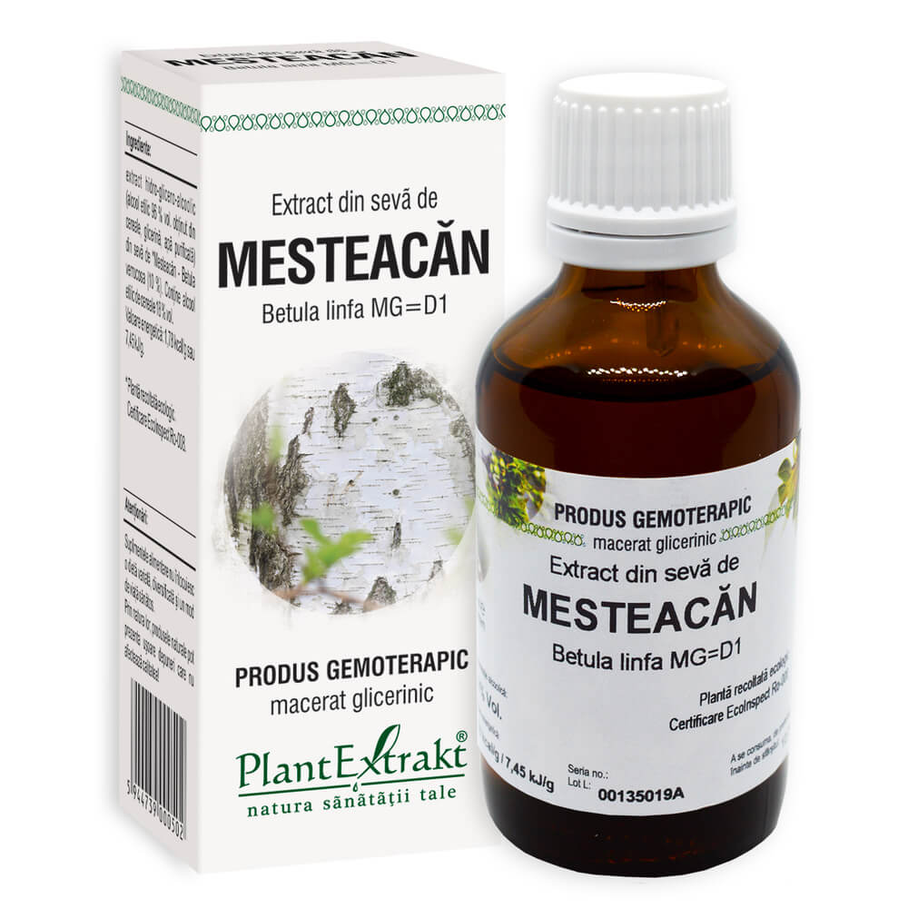 Extract din seva de Mesteacan, 50 ml, PlantExtrakt