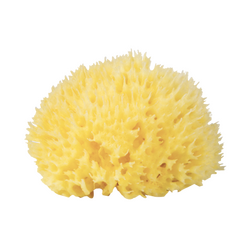 Burete natural de mare Honeycomb nr.12, in gentuta, Babu