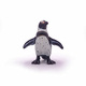 Figurina Pinguin African, +3 ani, Papo 494987