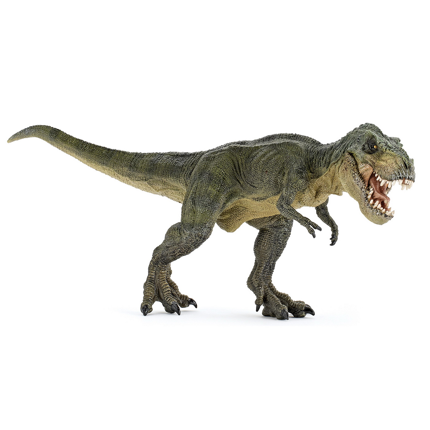 Figurina Dinozaur T-Rex Verde, +3 ani, Papo