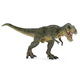 Figurina Dinozaur T-Rex Verde, +3 ani, Papo 495025