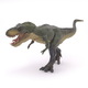 Figurina Dinozaur T-Rex Verde, +3 ani, Papo 495027