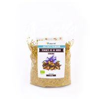 Seminte de in auriu ecologic, 250 gr, Nature4Life