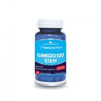 Ginko 120 + Stem, 60 capsule, Herbagetica