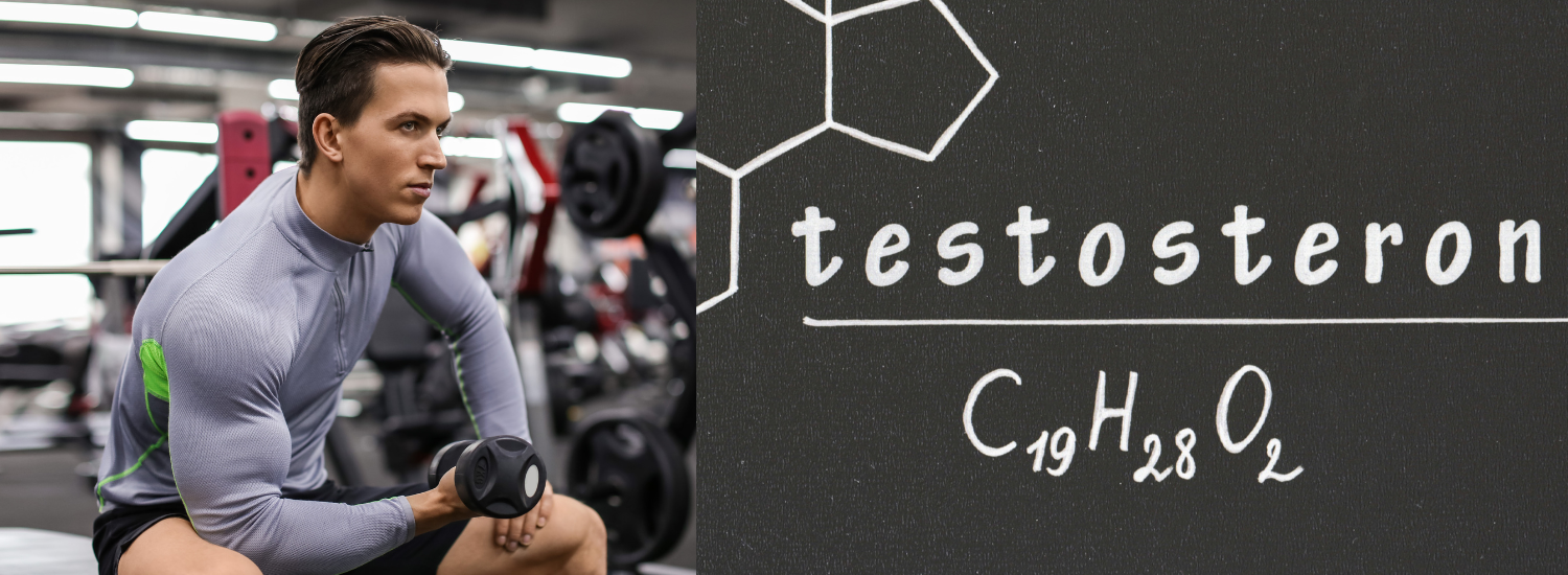 Testosteronul si rolul sau