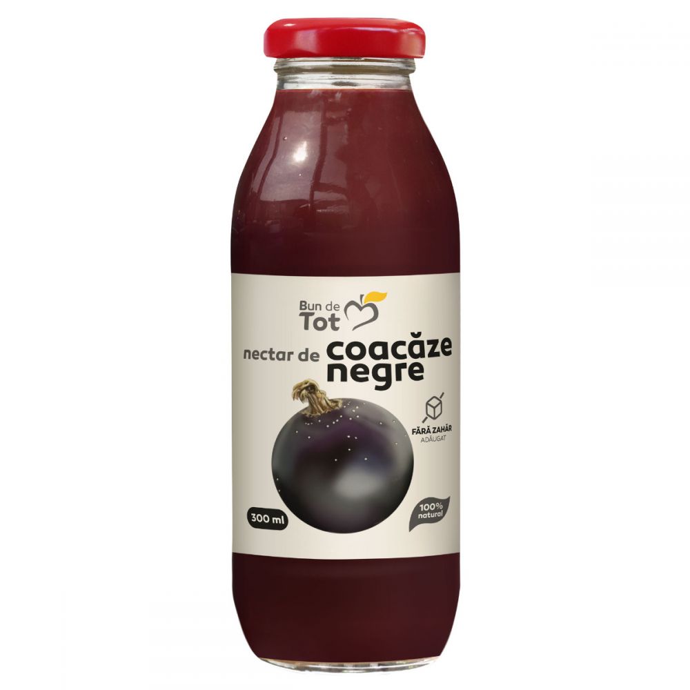 Nectar de coacaze negre fara zahar Bun de Tot, 300 ml, Dacia Plant