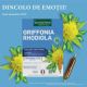 Griffonia Rhodiola Bio, 20 fiole x 10 ml, Santarome Natural 615532
